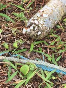Benda Mirip Mortir di Kawasan Lagoi Diserahkan ke Polda